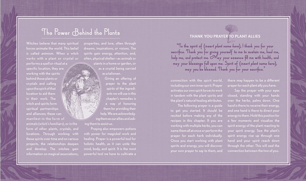 Good Witch's Guide