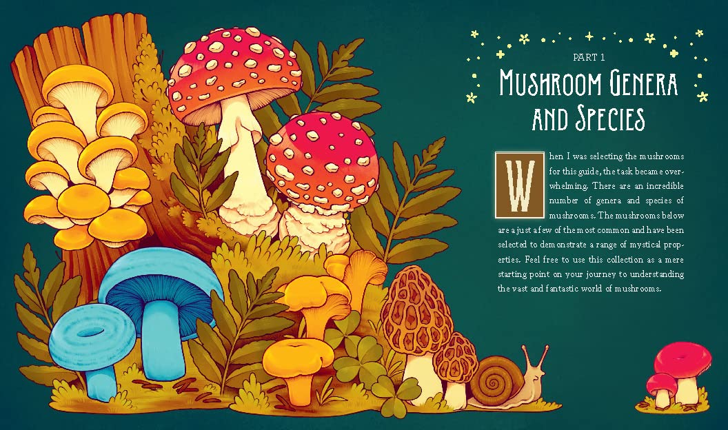 Mushroom Magick By Shawn Engel