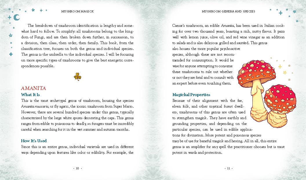 Mushroom Magick By Shawn Engel